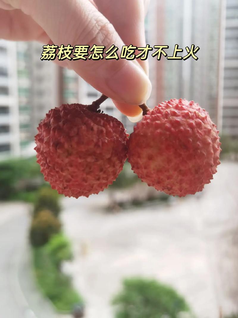 澳门开奖结果开奖记录表013和荔枝冷藏再吃不上火与荔枝冷藏好吃吗