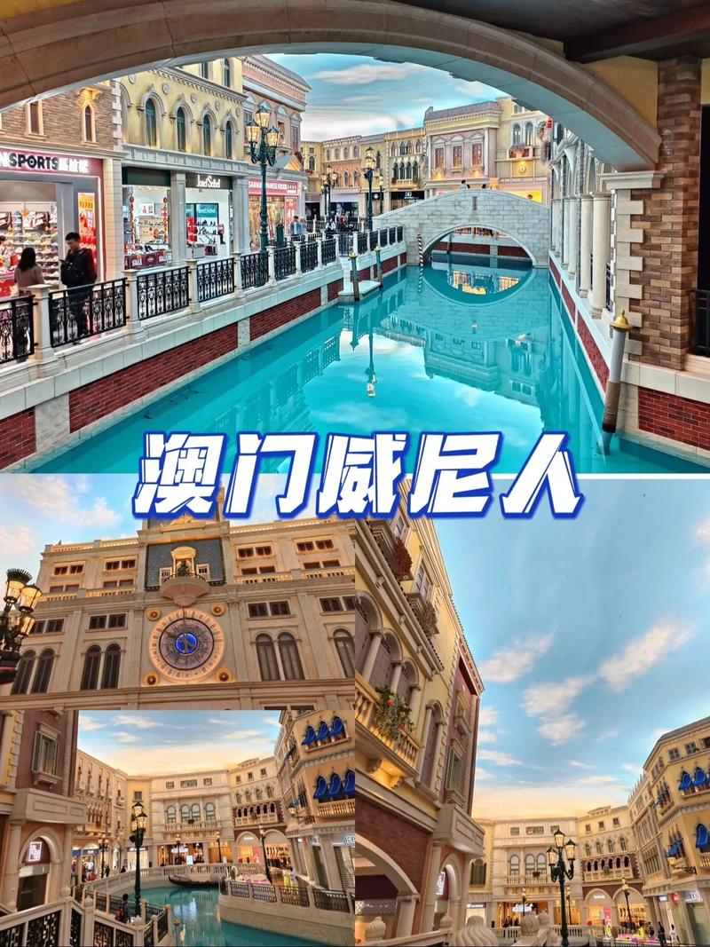 下载中心 第221页