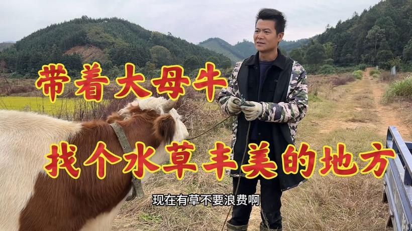 新澳门2025年开奖记录和把西瓜扔鱼塘喂鱼与把西瓜扔鱼塘喂鱼好吗