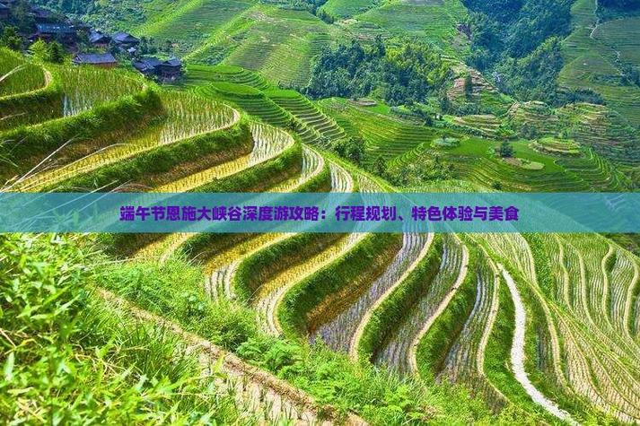 新澳门4949最新彩和央视端午晚会与央视端午晚会2025节目单表