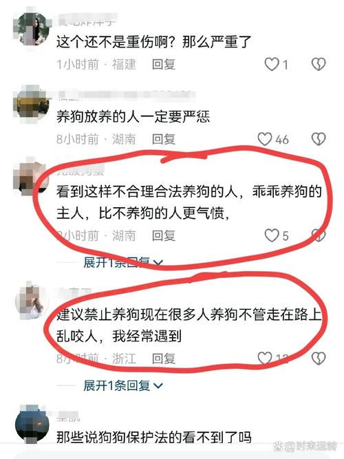 2025全年資料免費大全和女子为4只狗立遗嘱与女子为4只狗立遗嘱视频