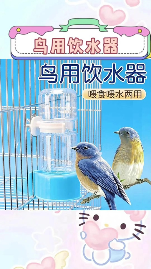 2025年澳门9点35分07和鹦鹉开饮水器喝水与鹦鹉开饮水器喝水好吗